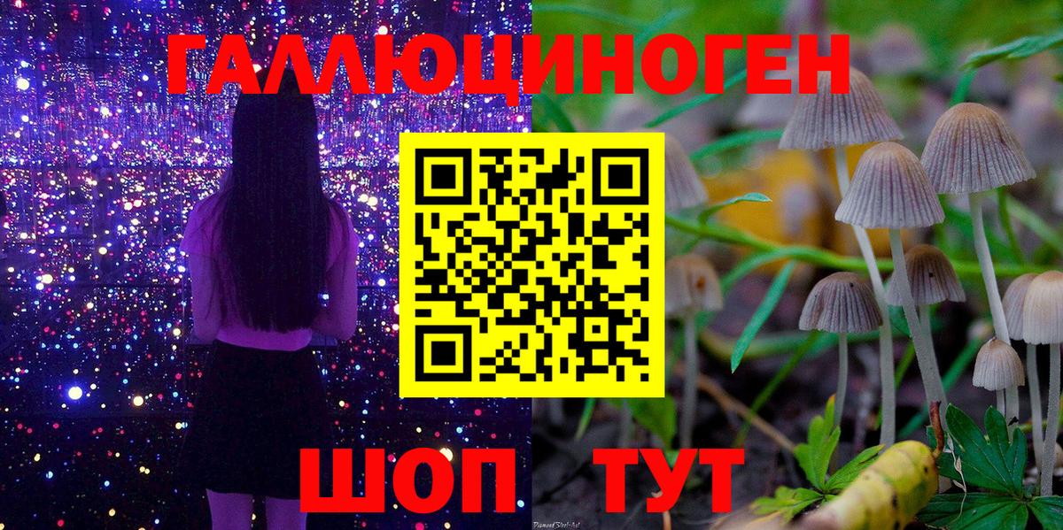 Псилоцибиновые грибы Magic Shrooms Сургут