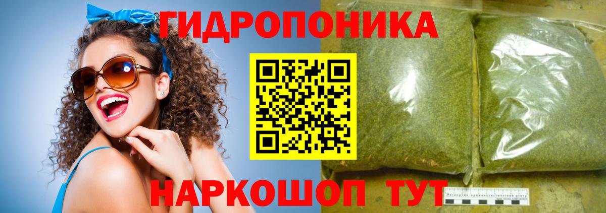 Бошки Шишки план Сургут