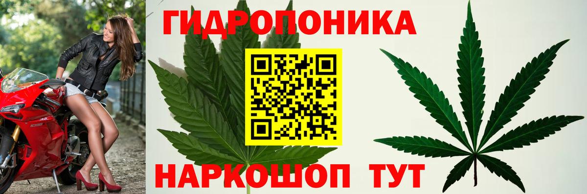 Каннабис сатива  Бошки Шишки Bruce Banner  Конопля Amnesia  Сургут  Вход с VPN 